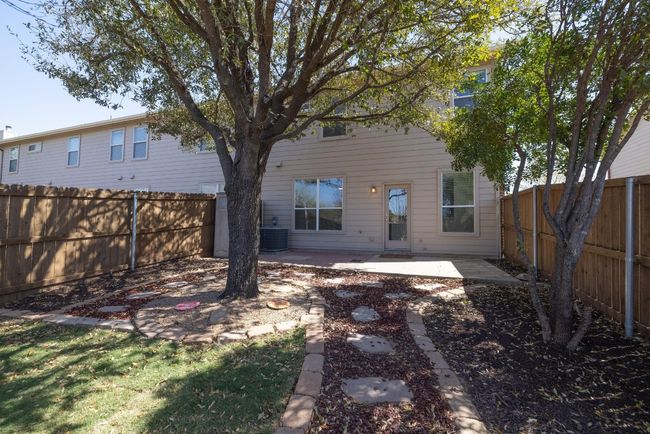 New Backyard Sod | Image 28