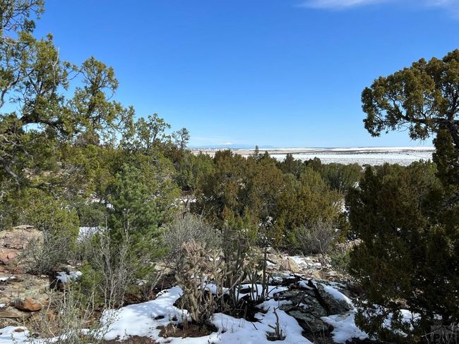28 Turkey Ridge Rd, Home with 0 bedrooms, 0 bathrooms and null parking in Walsenburg CO | Image 5