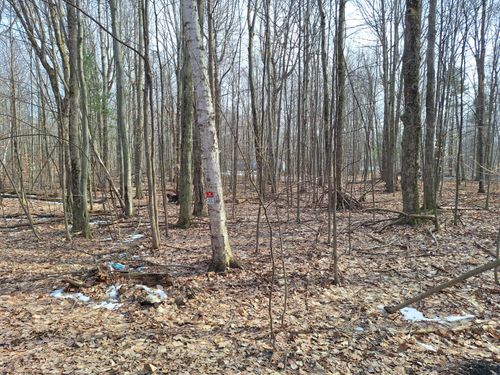 lot-10-11-12-bl-13-V/L Birch Street, Ludington, MI, 49431 | Card Image