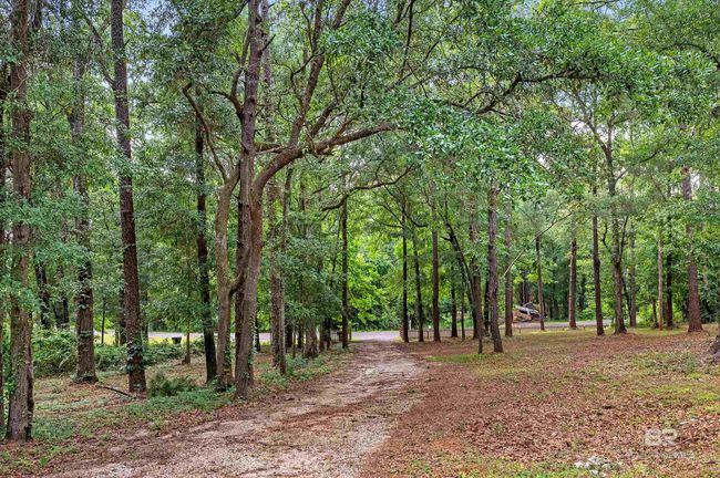 secluded driveway | Image 32