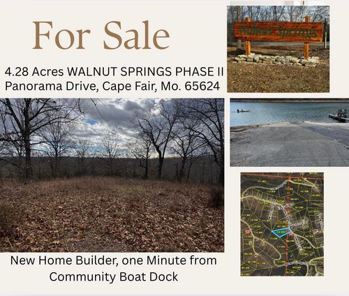 000 Panorama Dr., Cape Fair, MO, 65624 | Card Image