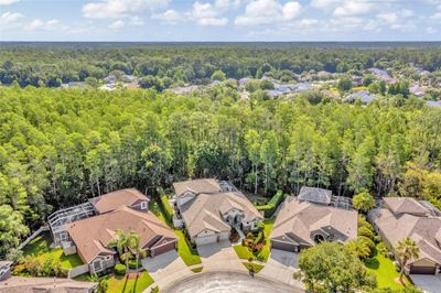 14117 Lincolnshire Court, House other with 5 bedrooms, 4 bathrooms and null parking in TAMPA FL | Image 2