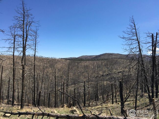 3600 Moondance Way, Home with 0 bedrooms, 0 bathrooms and null parking in Bellvue CO | Image 8