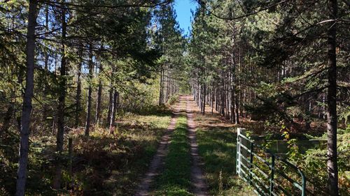 TBD BB Mann Road, Spooner, WI, 54801 | Card Image