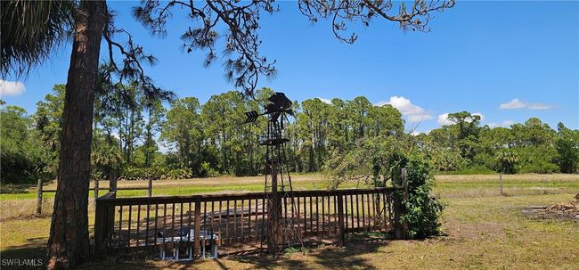 View of yard | Image 25