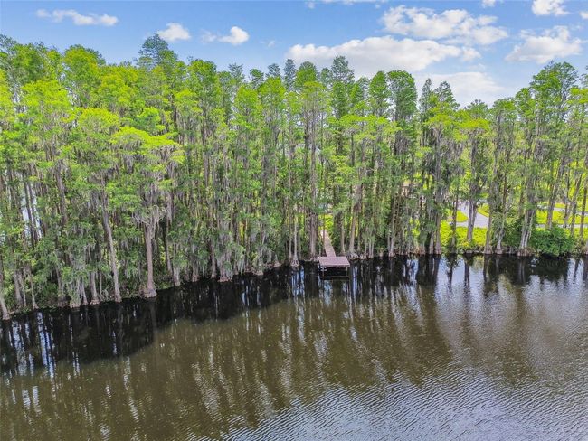 820 Newberger Rd, House other with 3 bedrooms, 2 bathrooms and null parking in LUTZ FL | Image 22