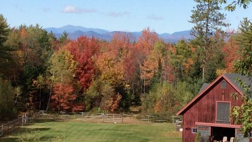 632 Rocky Knoll Road, Denmark, ME, 04022 | Card Image
