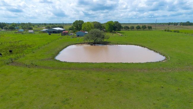 Pond | Image 43