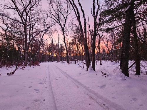 V/L 168th Avenue, Hesperia, MI, 49421 | Card Image