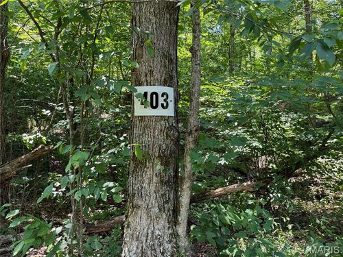 #403 Madison 410, Fredericktown, MO, 63645 | Card Image