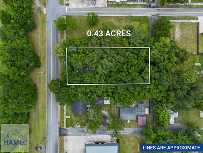 229 Broad Street, House other with 0 bedrooms, 0 bathrooms and null parking in Jesup GA | Image 4