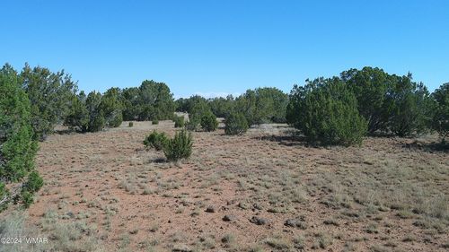 96 Cr 8068 Drive, Concho, AZ, 85924 | Card Image