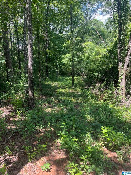 none-385 Carr Rd, ALPINE, AL, 35014-6045 | Card Image