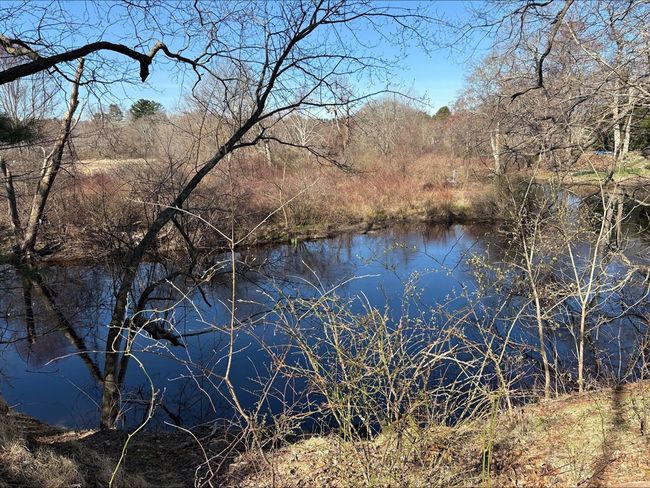 29 - 29 Willow Pond Cir, Condo with 2 bedrooms, 3 bathrooms and 2 parking in Medway MA | Image 35
