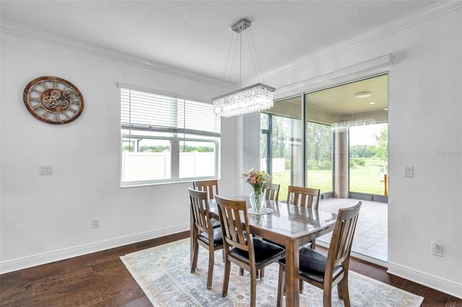 10845 Sundrift Dr, House other with 5 bedrooms, 4 bathrooms and null parking in TAMPA FL | Image 28