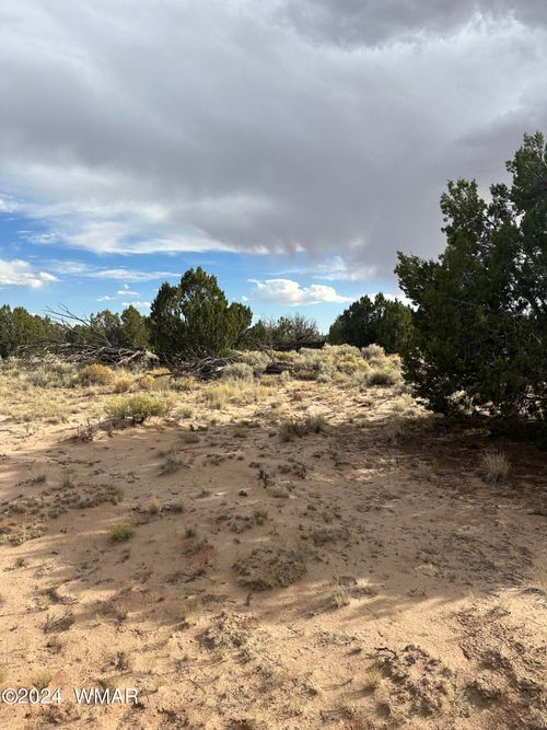 TBD N7273, St. Johns, AZ, 85936 | Card Image
