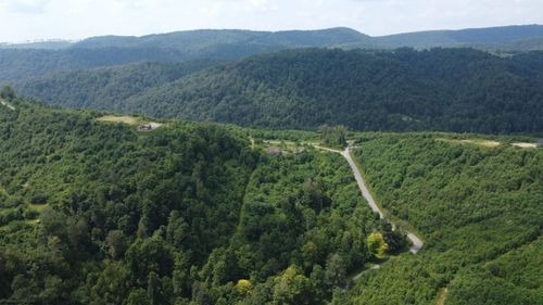 31 Burch Hill Rd, Terra Alta, WV, 26764 | Card Image