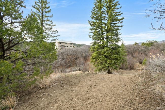 19106 Kimball Creek Rd, House other with 3 bedrooms, 3 bathrooms and null parking in Collbran CO | Image 27