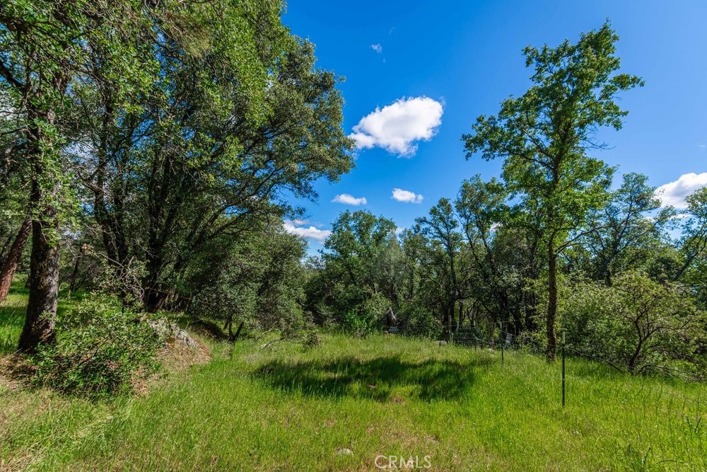 Land in Oroville 3