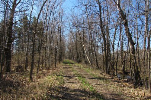 TBD-1 County Road 41, Willow River, MN, 55795 | Card Image