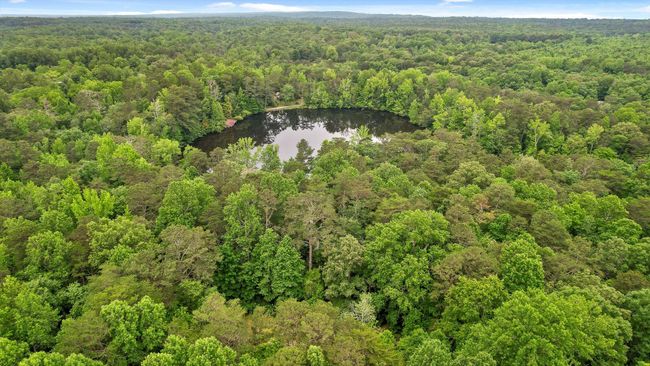 1 Moon Lake Rd, House other with 5 bedrooms, 4 bathrooms and null parking in Mentone AL | Image 59
