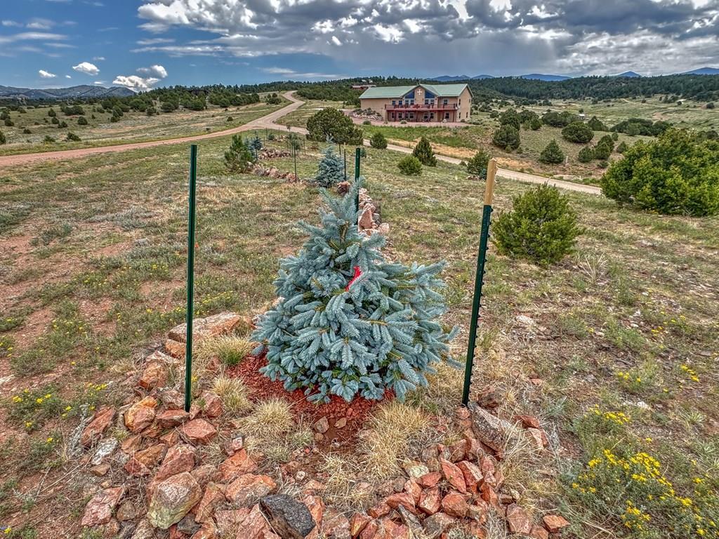 Land in Westcliffe 5