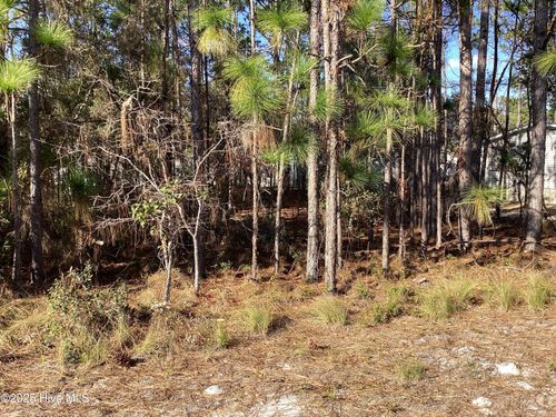 14-3088 Cross St Sw, Shallotte, NC, 28470-5767 | Card Image