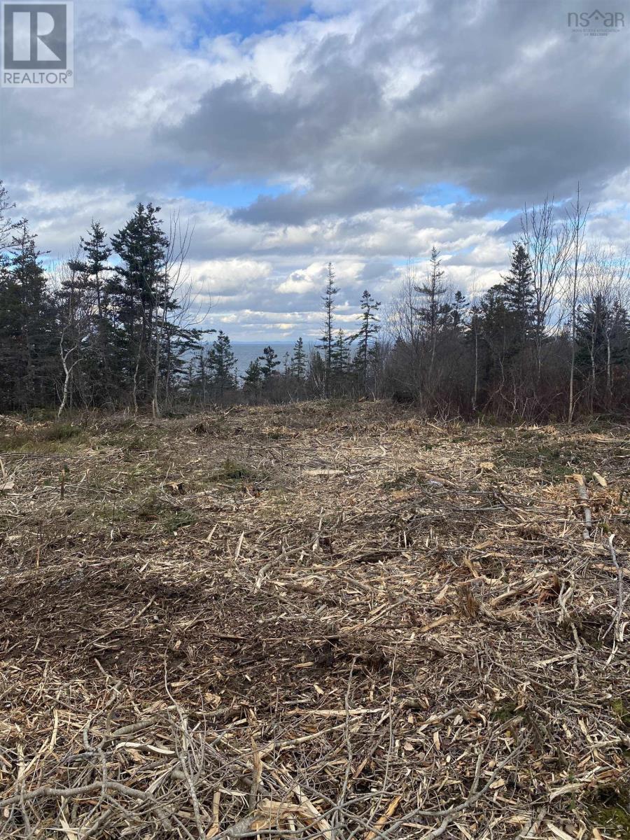 Land in Phinneys Cove 3