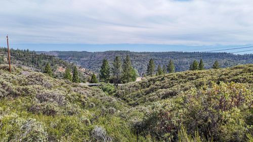 8131 Grizzly Flat Rd, Somerset, CA, 95684-9370 | Card Image