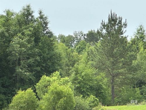 0 County Road 54, Daphne, AL, 36526 | Card Image