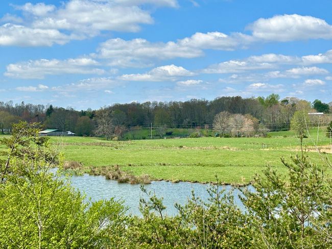 428 Dick Wilson Rd, Home with 0 bedrooms, 0 bathrooms and null parking in Strunk KY | Image 8