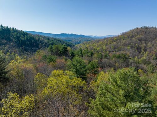 TBH Alf Branch Dr, Marble, NC, 28905 | Card Image