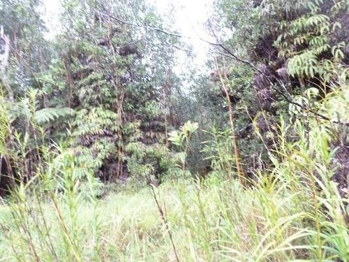 18-2310 Glenwood Rd, MOUNTAIN VIEW, HI, 96771 | Card Image