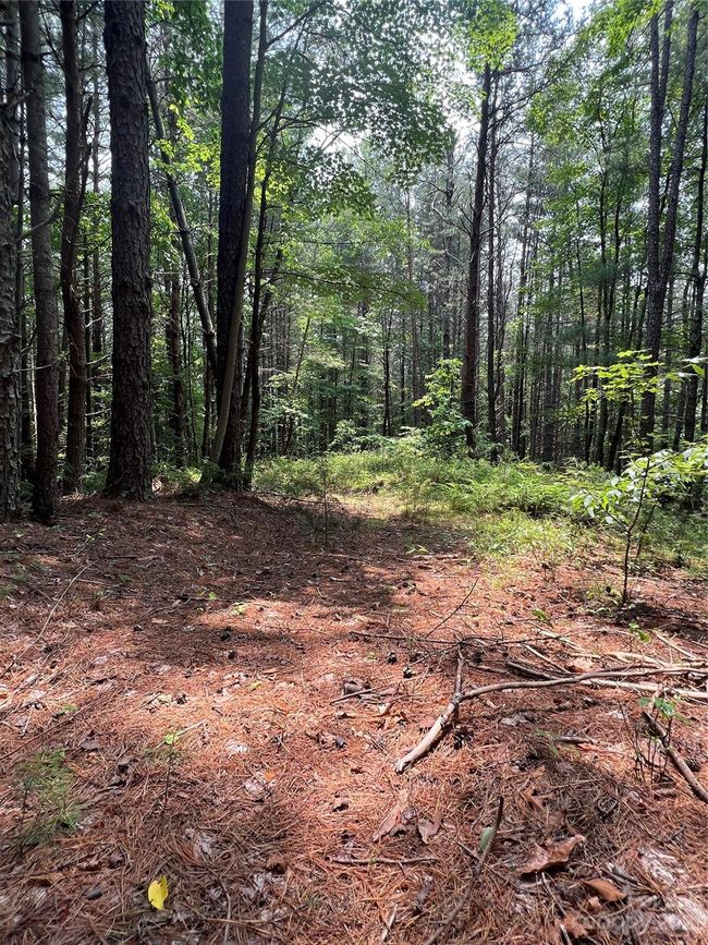 29 - 9589 Shortoff View Ter, Home with 0 bedrooms, 0 bathrooms and null parking in Nebo NC | Image 11