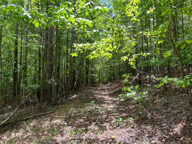 B - 00 Quarter Round Rd, Home with 0 bedrooms, 0 bathrooms and null parking in pacolet SC | Image 20