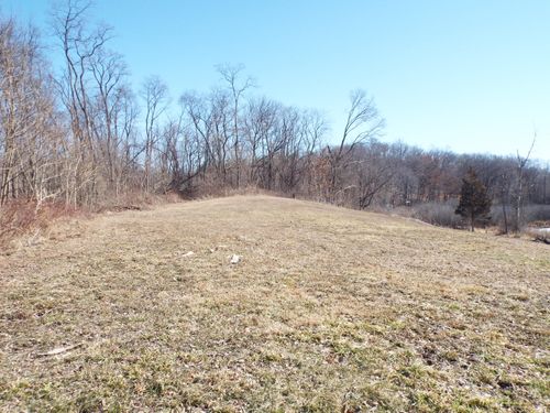 VL Brills Lake Road, Jackson, MI, 49201 | Card Image