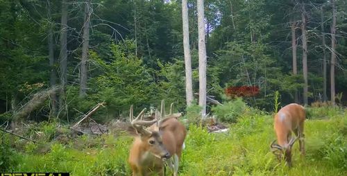 000 Shaker St, North Sutton, NH, 03260 | Card Image