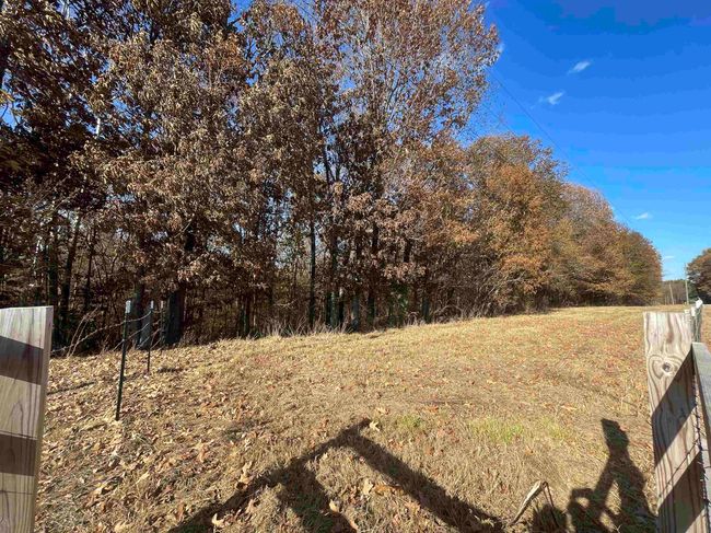 0000 Highway 56, Home with 0 bedrooms, 0 bathrooms and null parking in Russellville AL | Image 14