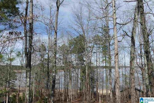 20-LOT # 20 Overlook Drive, Wedowee, AL, 36278 | Card Image