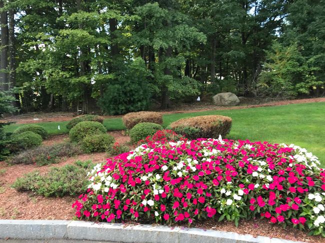 APT-105 - 10 Sentinel Ct, Condo with 2 bedrooms, 2 bathrooms and null parking in Manchester NH | Image 6