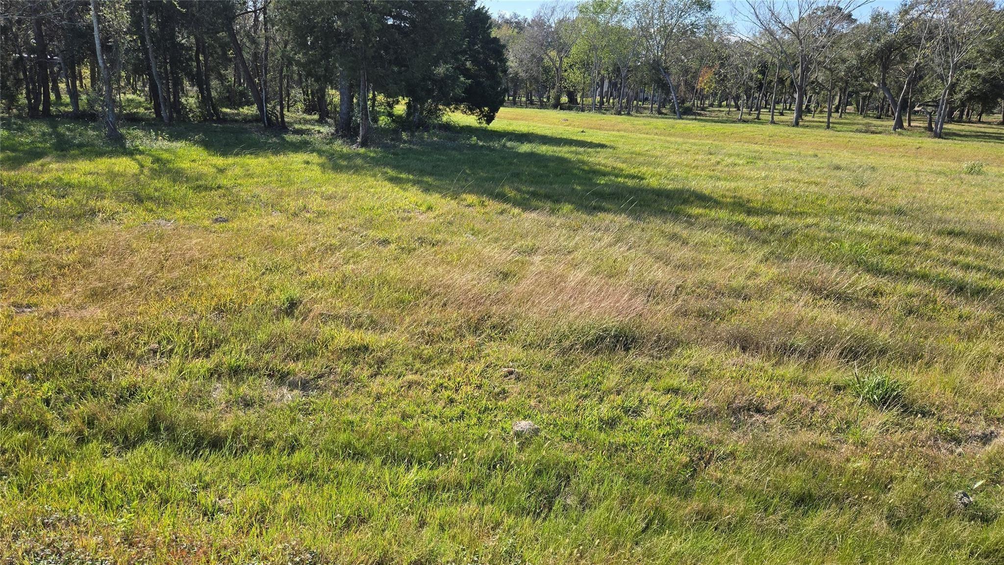 Land in Alvin 4