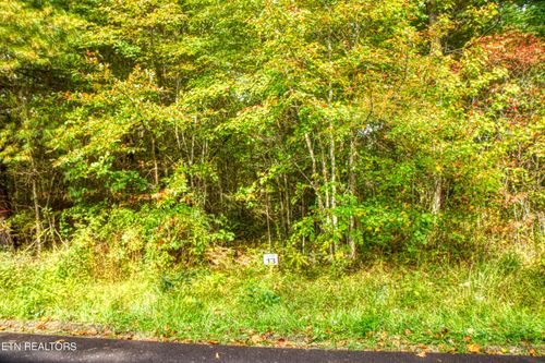 13 Old Mount Helen Rd, Allardt, TN, 38504 | Card Image