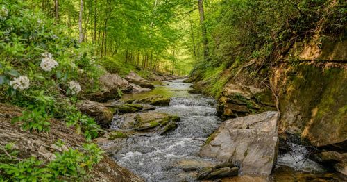 102 Granny Gear Rd, Sunset, SC, 29685-2400 | Card Image