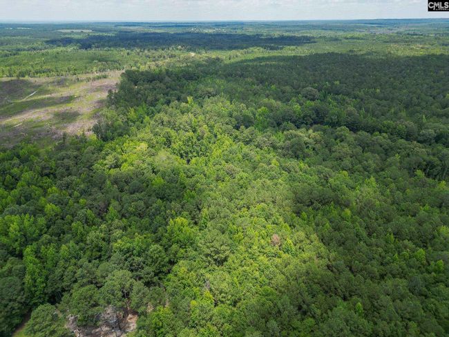 0 Mcdaniel Rd, Home with 0 bedrooms, 0 bathrooms and null parking in Rembert SC | Image 6