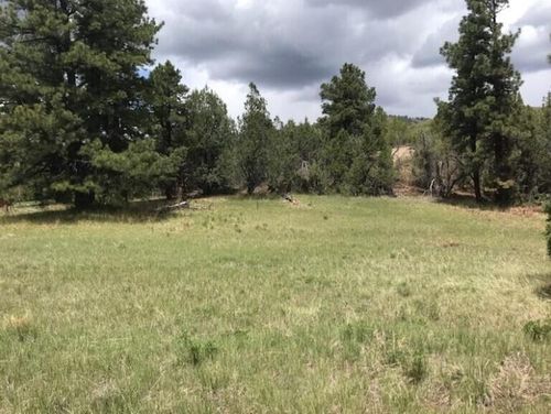 2655 E Cedar Dr, Kolob, UT, 84767 | Card Image
