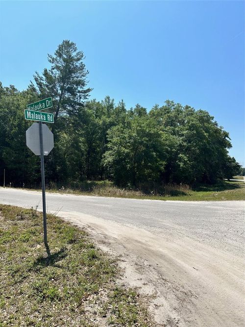 TBD Malauka Rd, OCKLAWAHA, FL, 32179 | Card Image