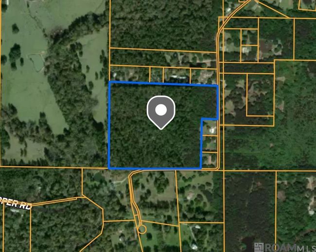 26.85 Acres Heritage Acres Ln, Home with 0 bedrooms, 0 bathrooms and null parking in Robert LA | Image 19
