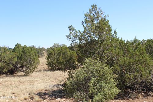 --9 T14n, R16e: Sw4 Nw4 Sw4 --, Heber, AZ, 85928 | Card Image