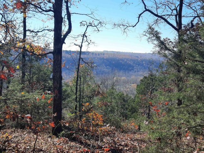 000 S Ar 9 Hwy, Home with 0 bedrooms, 0 bathrooms and null parking in Mountain View AR | Image 9