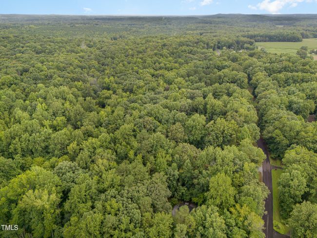 008_dji_20240724085636_0087_d-edit | Image 5